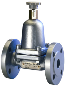 GESTRA�����¶���������bw31a��