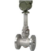 digitalYEWFLO�н�������